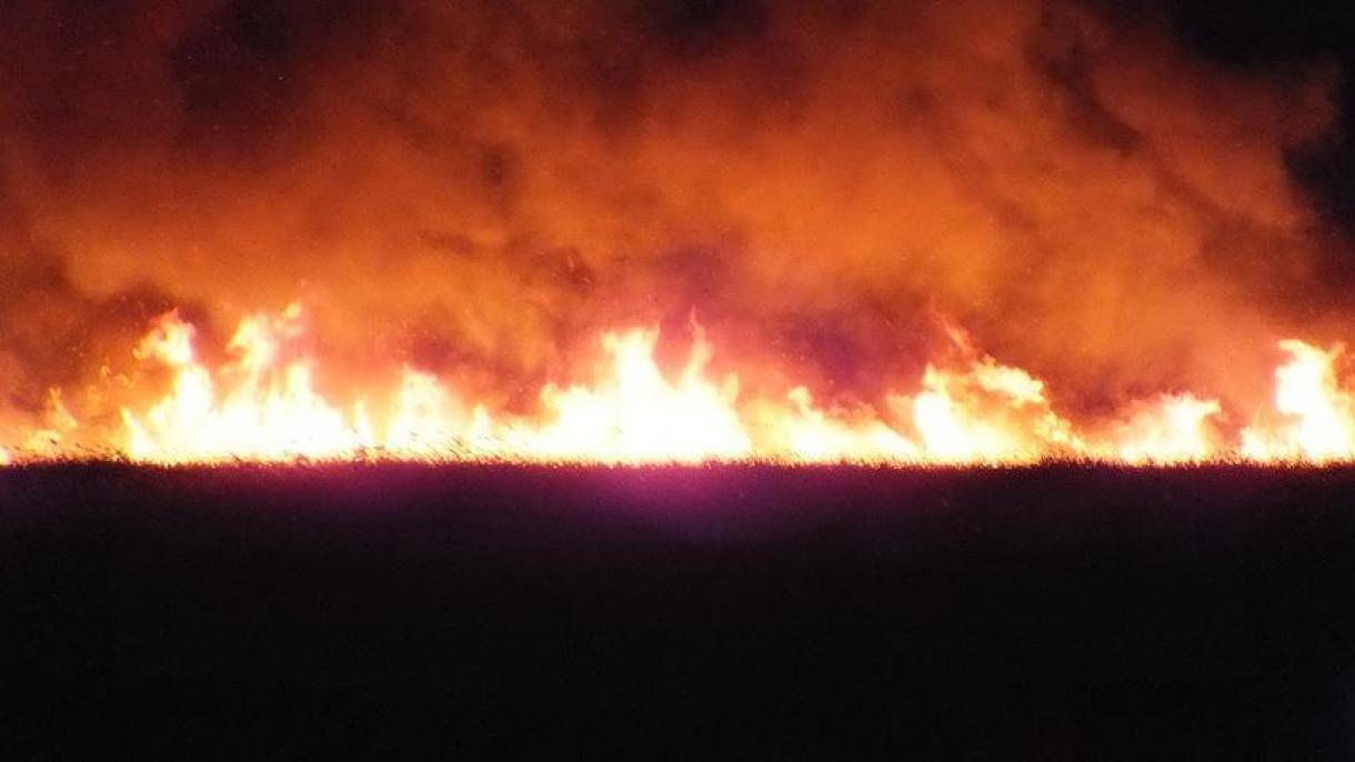 چلی  میں وسیع پیمانے کی جنگلات کی آگ