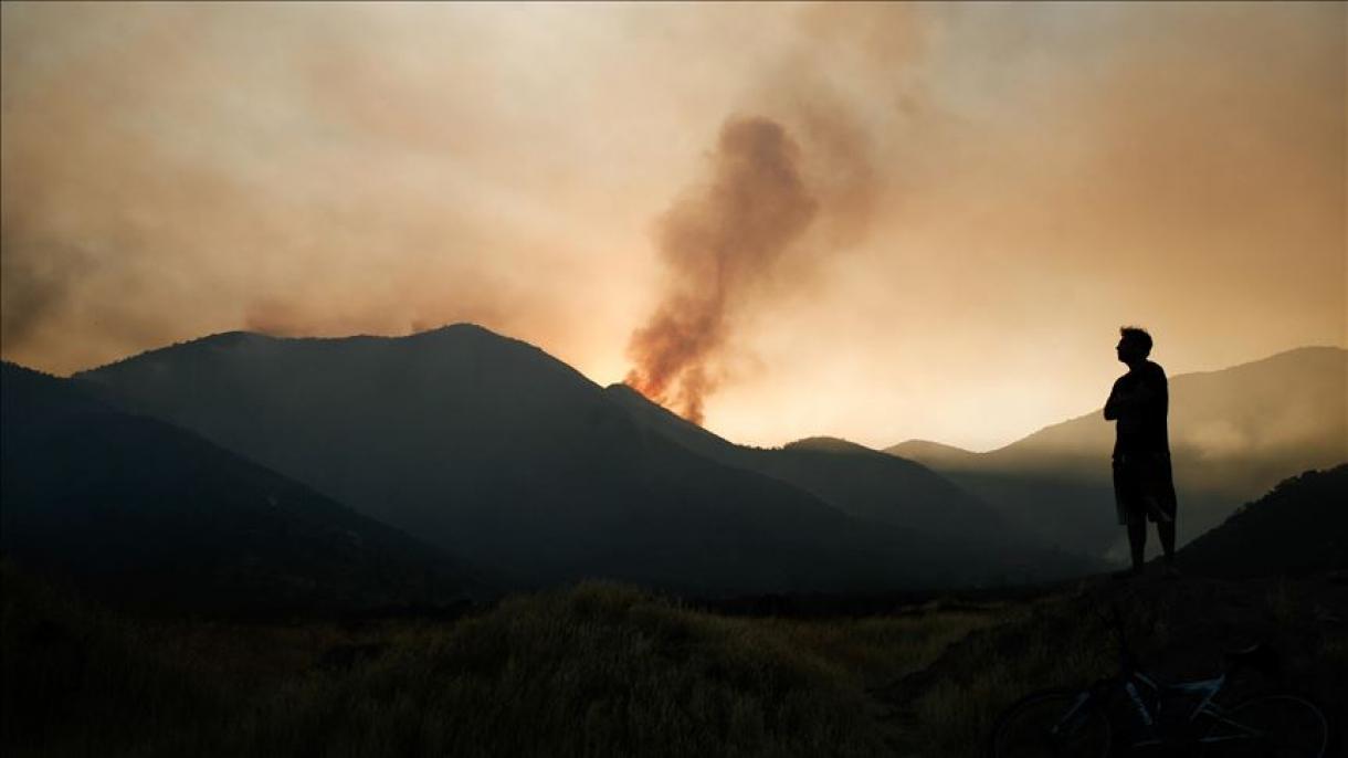 Tres comunas chilenas están en alerta roja por incendios forestales