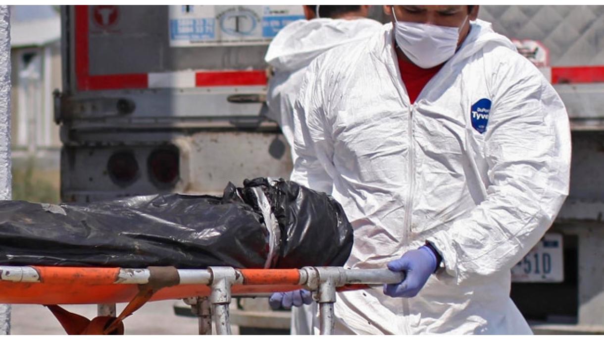 Encuentran siete cuerpos dentro de tres vehículos en oeste de México