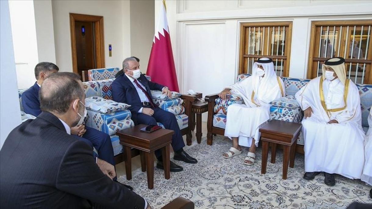 مصطفی شن‌توپ با امیر قطر دیدار و گفت‌وگو کرد