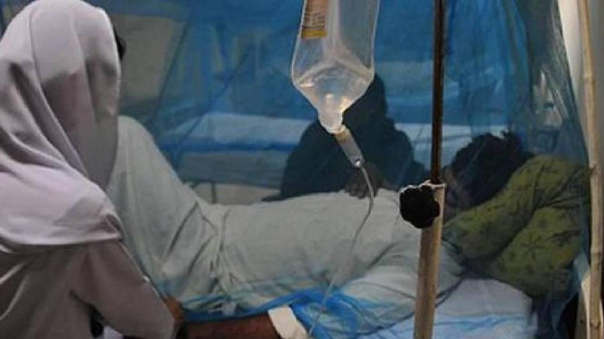 尼日利亚脑膜炎死亡人数升至118人