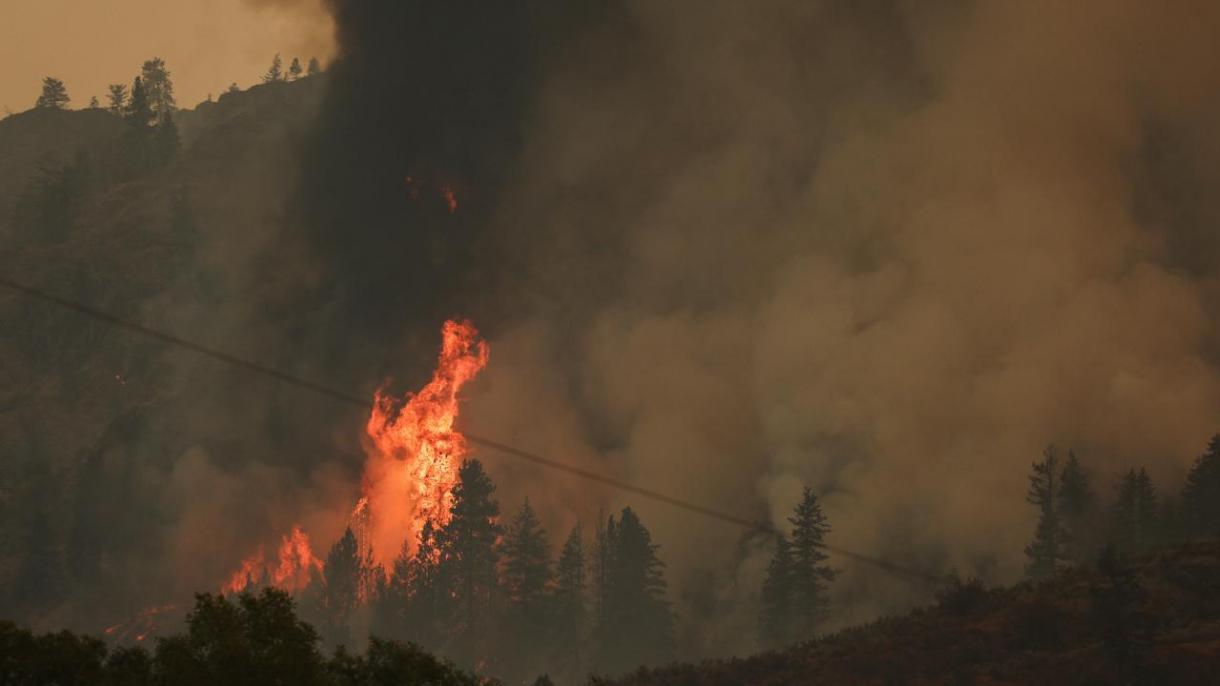 美国华盛顿森林火灾造成2人丧生