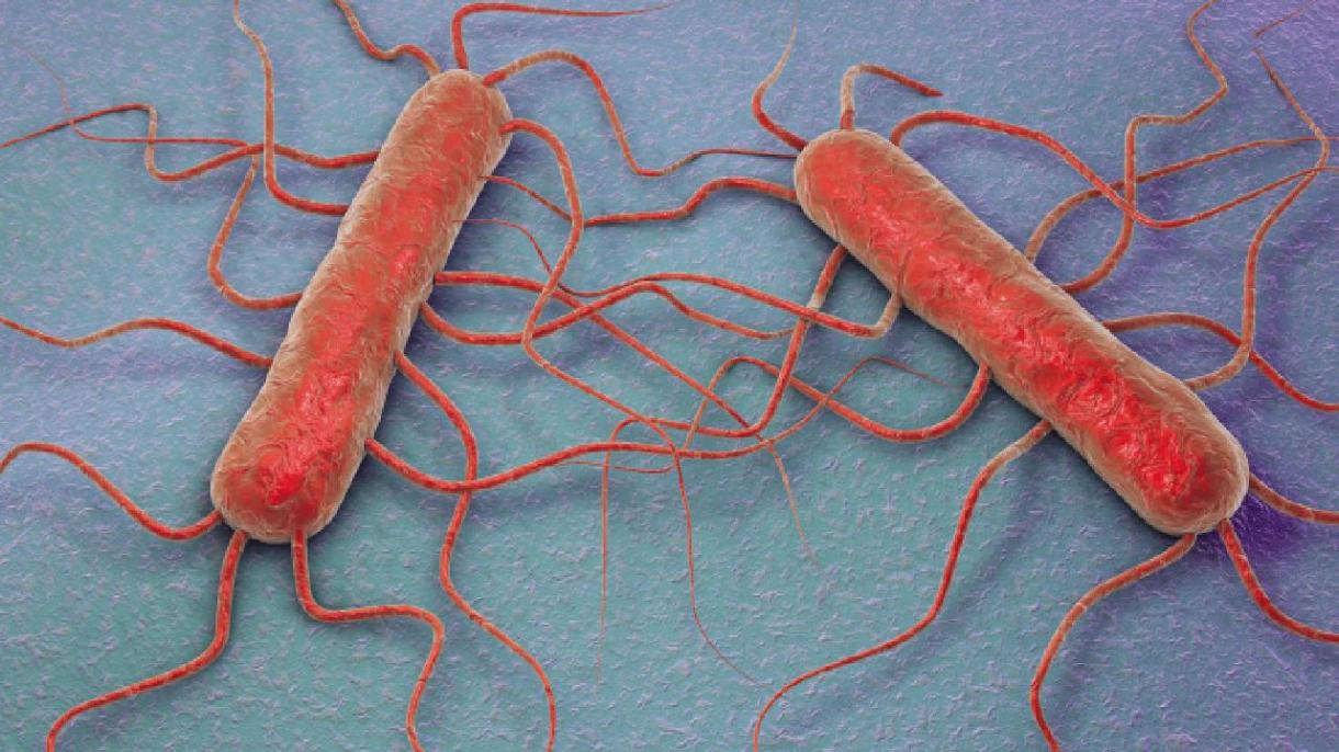 美国华盛顿州出现李斯特菌感染事件：3人死
