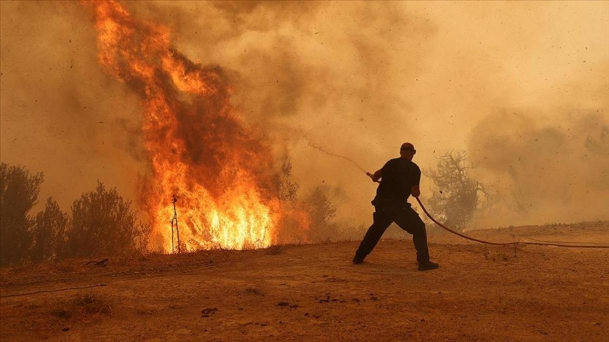 Пламъците в Гърция достигнаха район на складове и фабрики...
