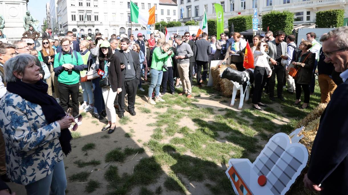 bruksel ciftciler gosteri1.jpg