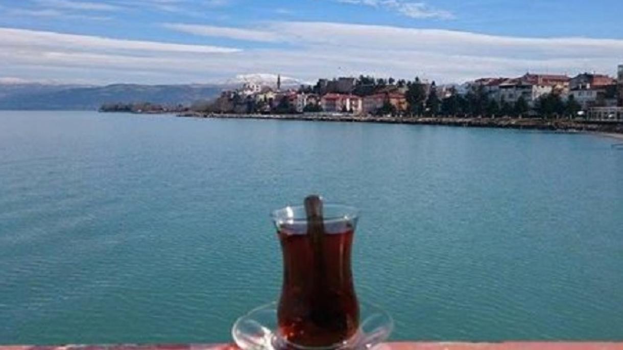 Exporturile de ceai turcesc în creștere