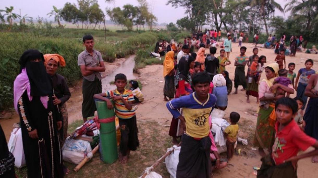 دستگیری 115 پناهجوی روهینگیایی در بنگلادش