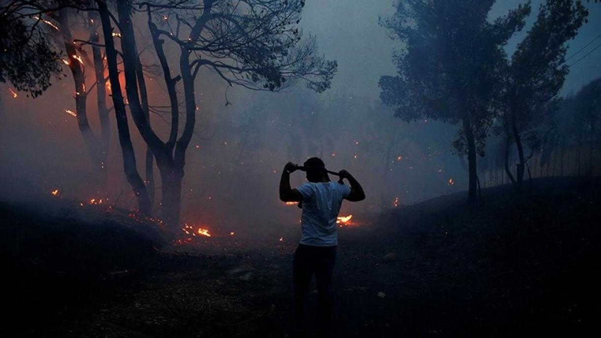 یونان کی آگ : ہلاک شدگان کی تعداد 81 ہو گئی،187 زخمی