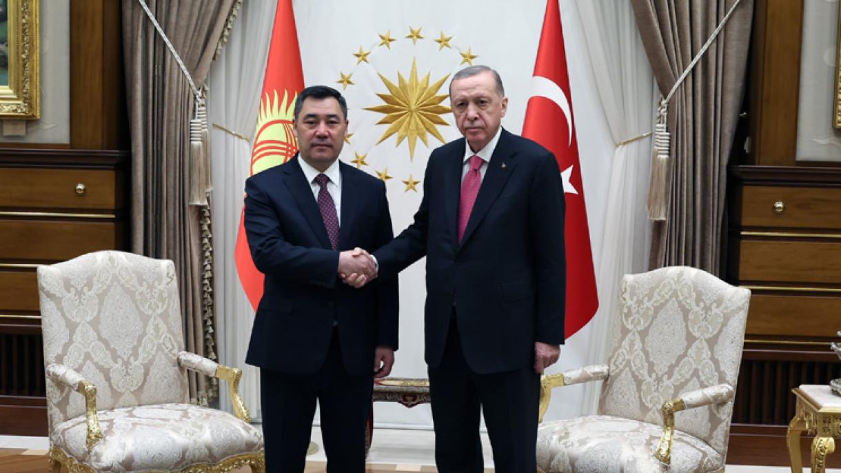 caparov-erdogan.jpg