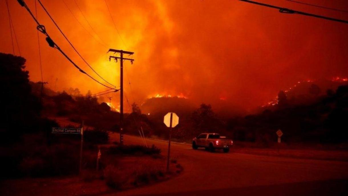 افزایش تلفات و خسارات آتش سوزی در کالیفرنیا