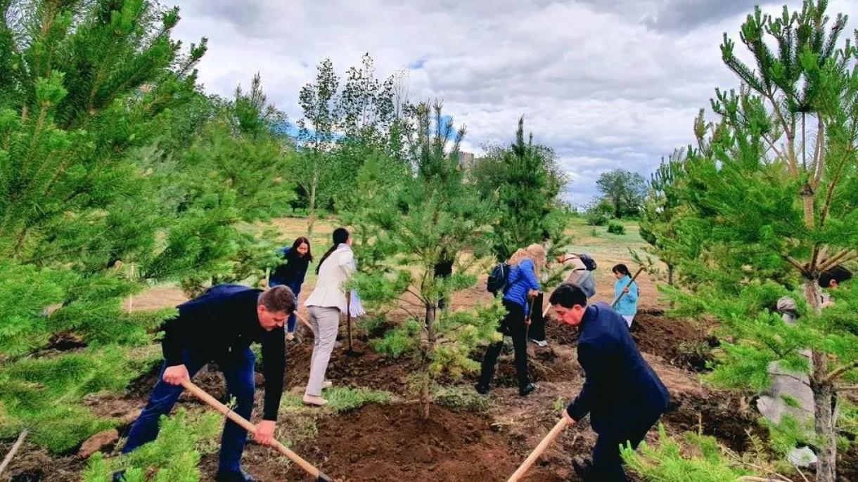 Nursultan_agaç_koru_elçilik_Kazakistan_kazakça_kazak