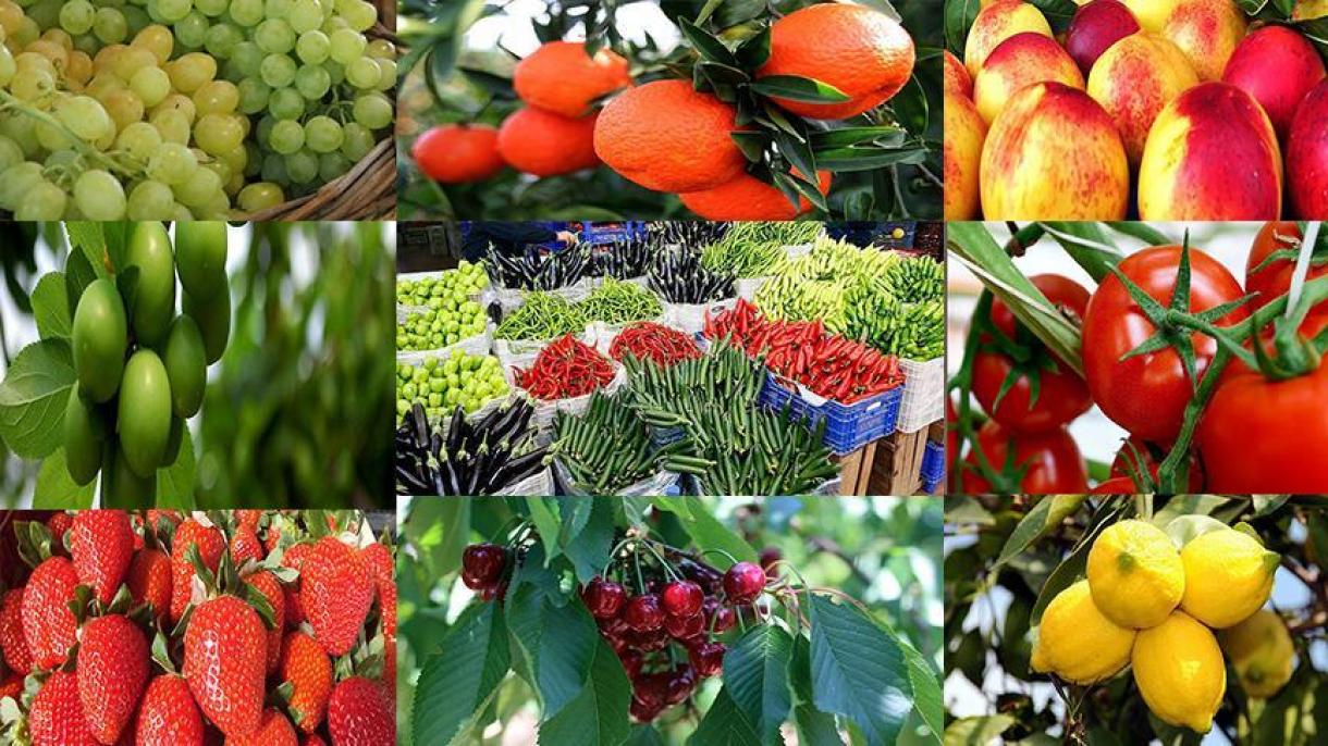 افزایش صادرات میوه‌جات ترکیه