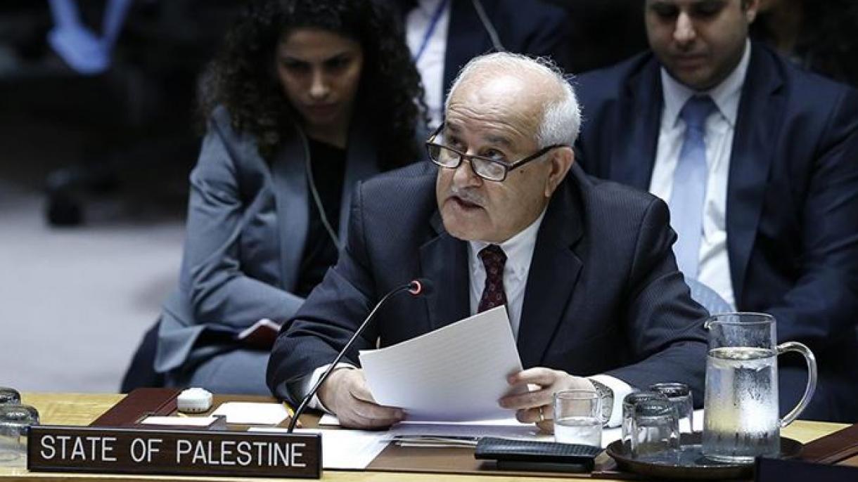 巴勒斯坦代表：安理会无需发表声明不支持巴勒斯坦人