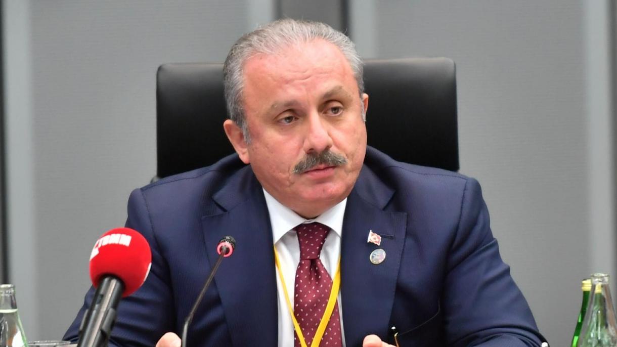 شنتوپ: پیشرفت‌ جمهوری‌های ترک در 30 سال گذشته تحسین برانگیز است