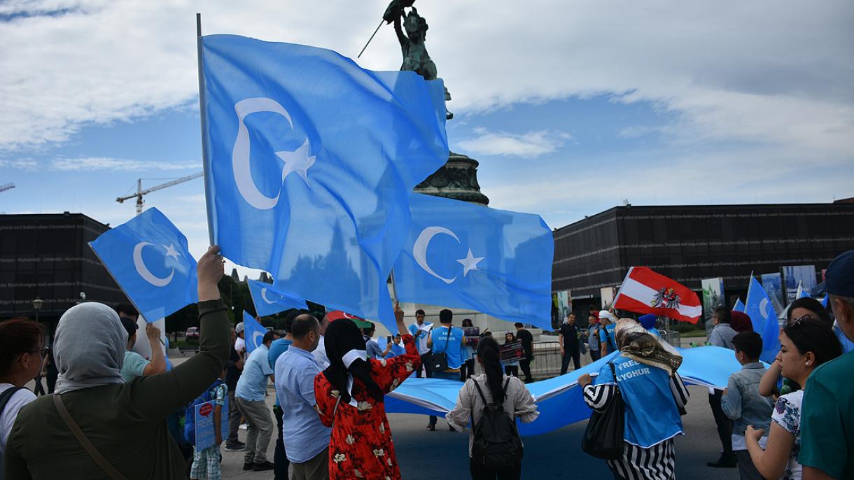 avusturya uygur turkleri protesto1.jpg