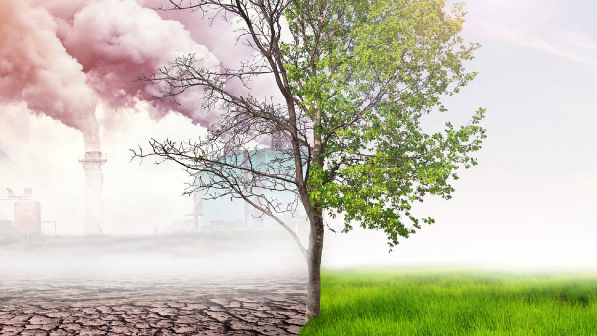 ¿El mundo se acerca a un círculo de fuego?