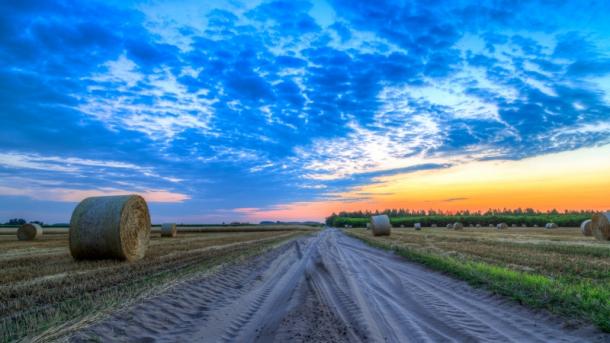 Colombia tiene recursos para mejorar su producción agrícola