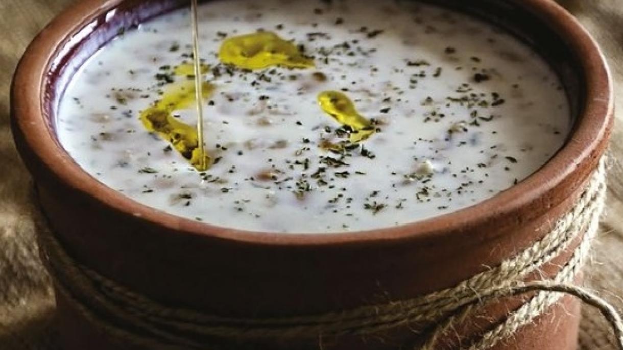 Yoğırt aşı