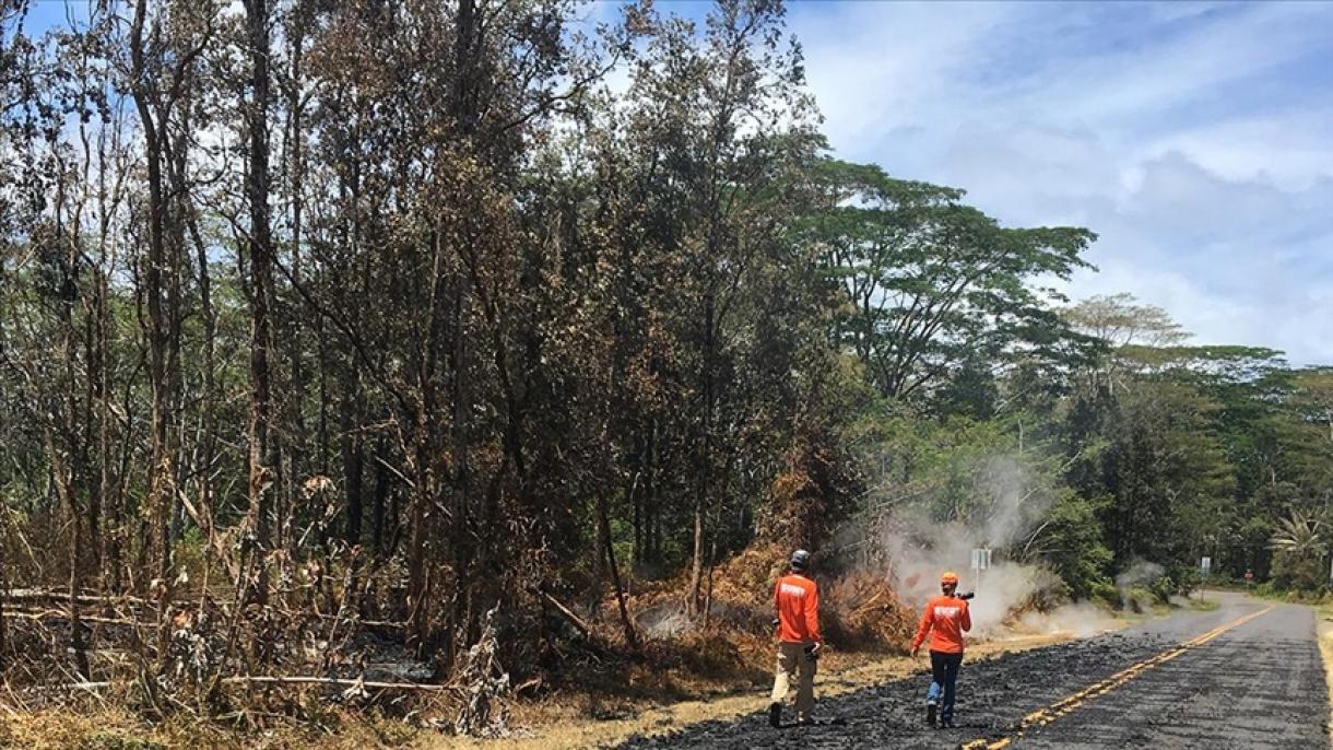 美国夏威夷州灌木丛起火 地区启动大规模疏散行动