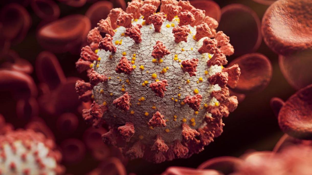 سویه جدیدی از ویروس کووید-19 در فرانسه شناسایی شد