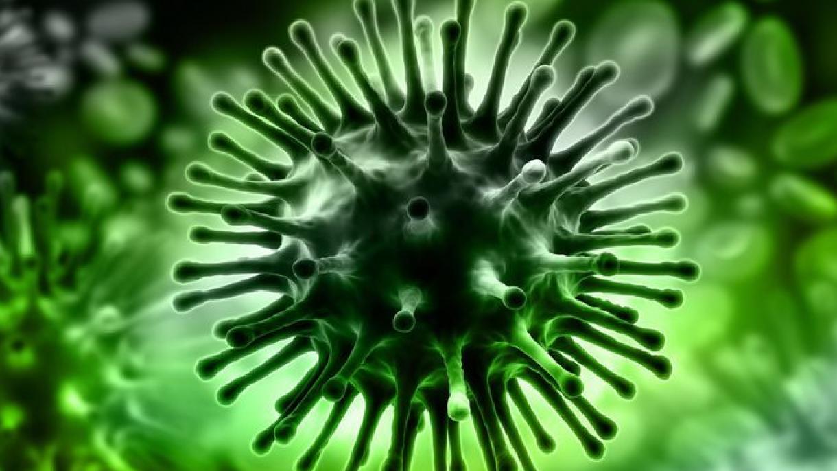 "چین میں نمونیا نما پراسرار وائرس" 3 افراد جان کی بازی ہار گئے