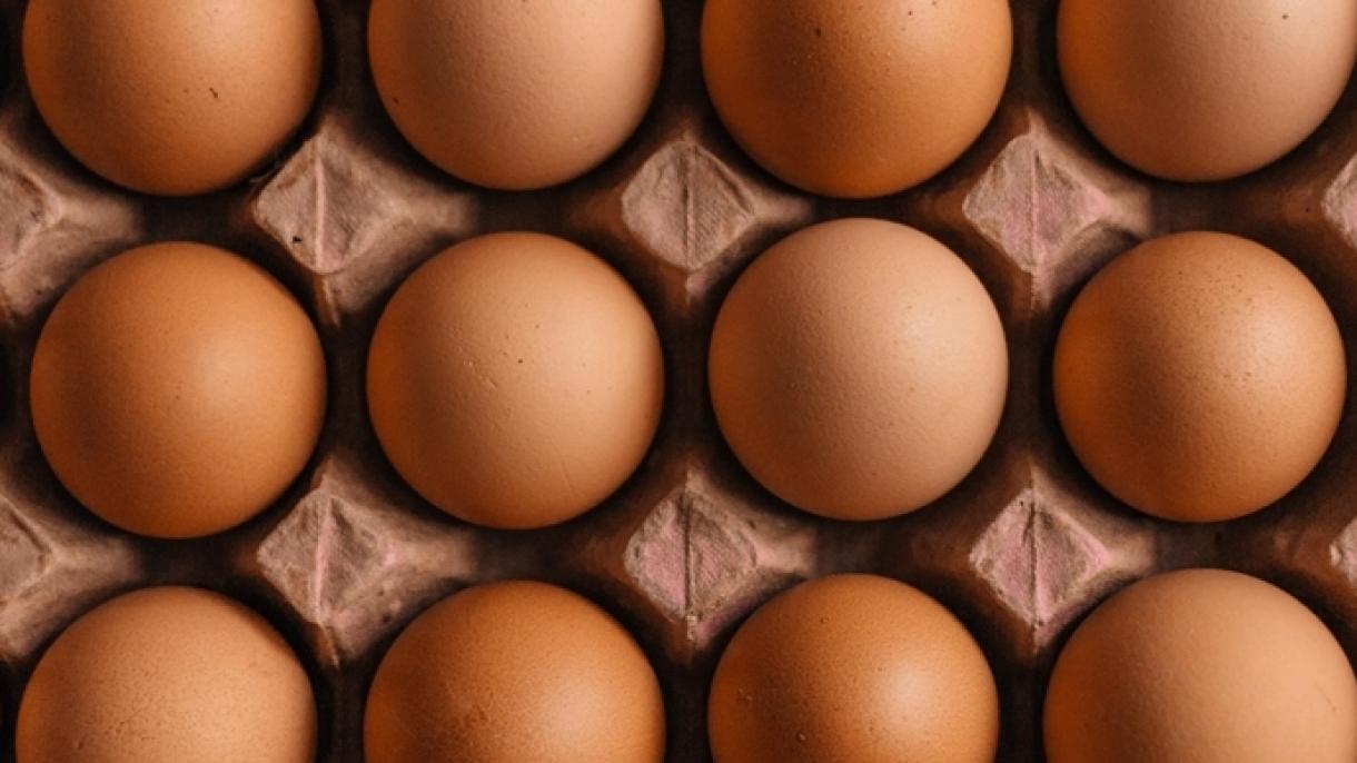 Ρωσία: Oι εισαγωγές αυγών από την Τουρκία θα είναι αφορολόγητες