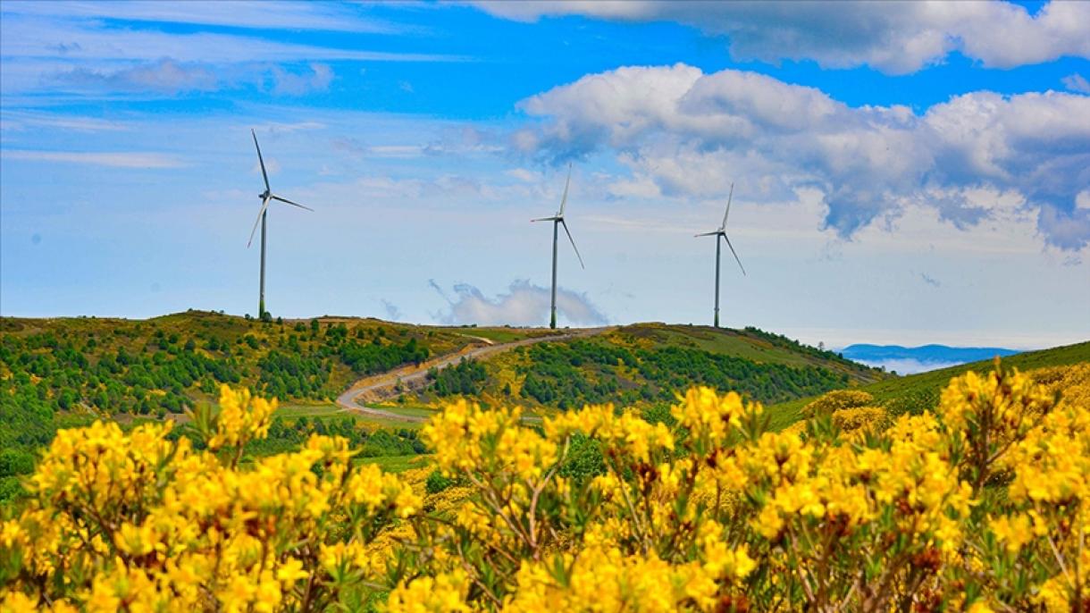 Türkiyənin külək enerjisindən elektrik istehsalı bütün zamanların ən yüksək səviyyəsinə çatdı