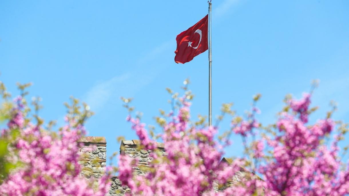 erguvan istanbul (6).jpg