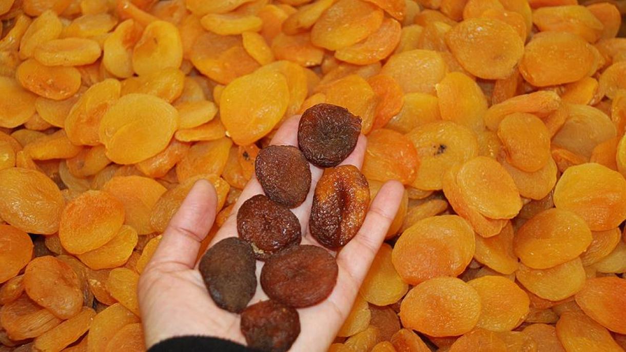 Кипкән өрeк экспoрты күпмe тaбыш китeрдe?