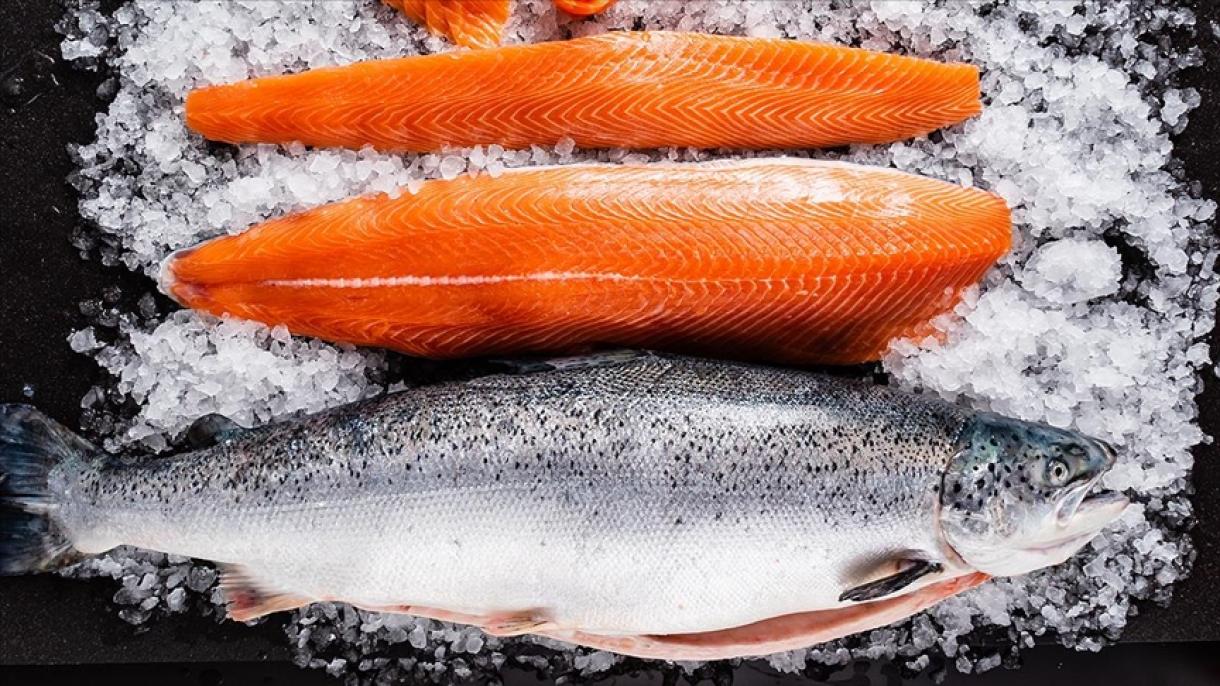 صادرات ماهی سالمون ترکیه به 12 کشور مختلف جهان