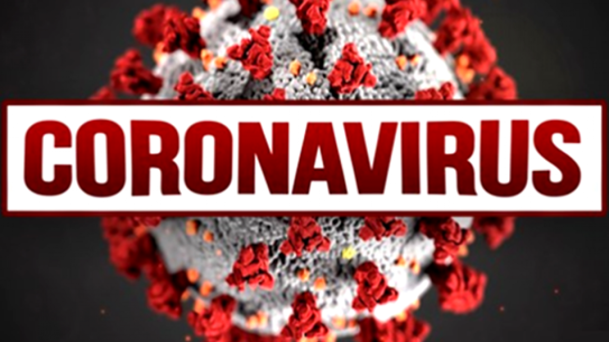 دونیا-دا کروناویروسا یولوخان‌لارین سایی 66 مین‌دن چوخ آرتیب