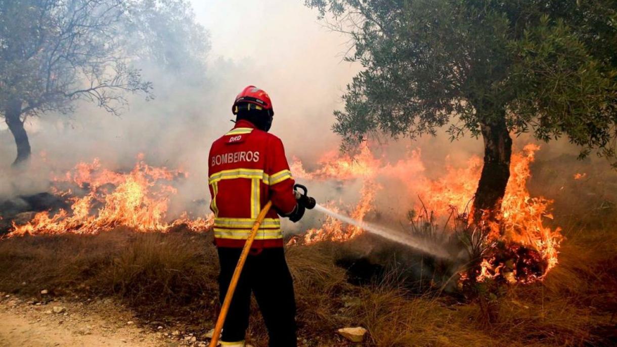 2017, segundo peor año en incendios en una década y primero desde 2013 en España