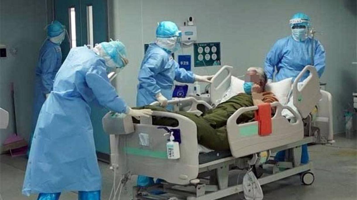 پاکستان، کورونا کے مصدقہ کیسسز کی تعداد 12 ہزار تک پہنچ گئی