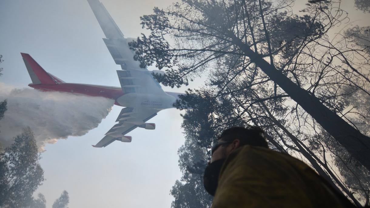 Alemania destina 200.000 euros de ayuda para lucha contra incendios forestales en Chile
