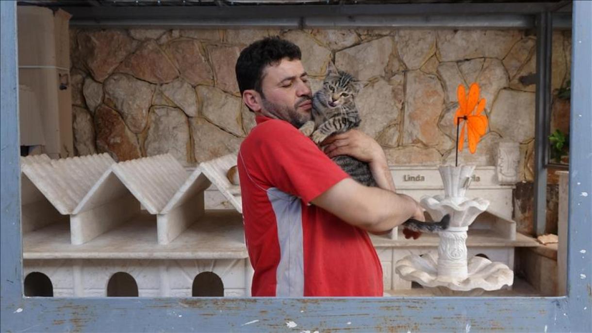 Rif d'Alep: Un Syrien prend soin des chats errants