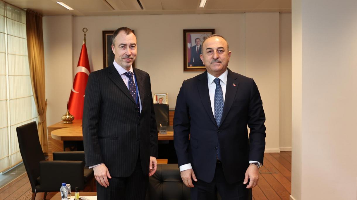ab gurcistan temsilcisi toivo tlaar-cavusoglu.jpg