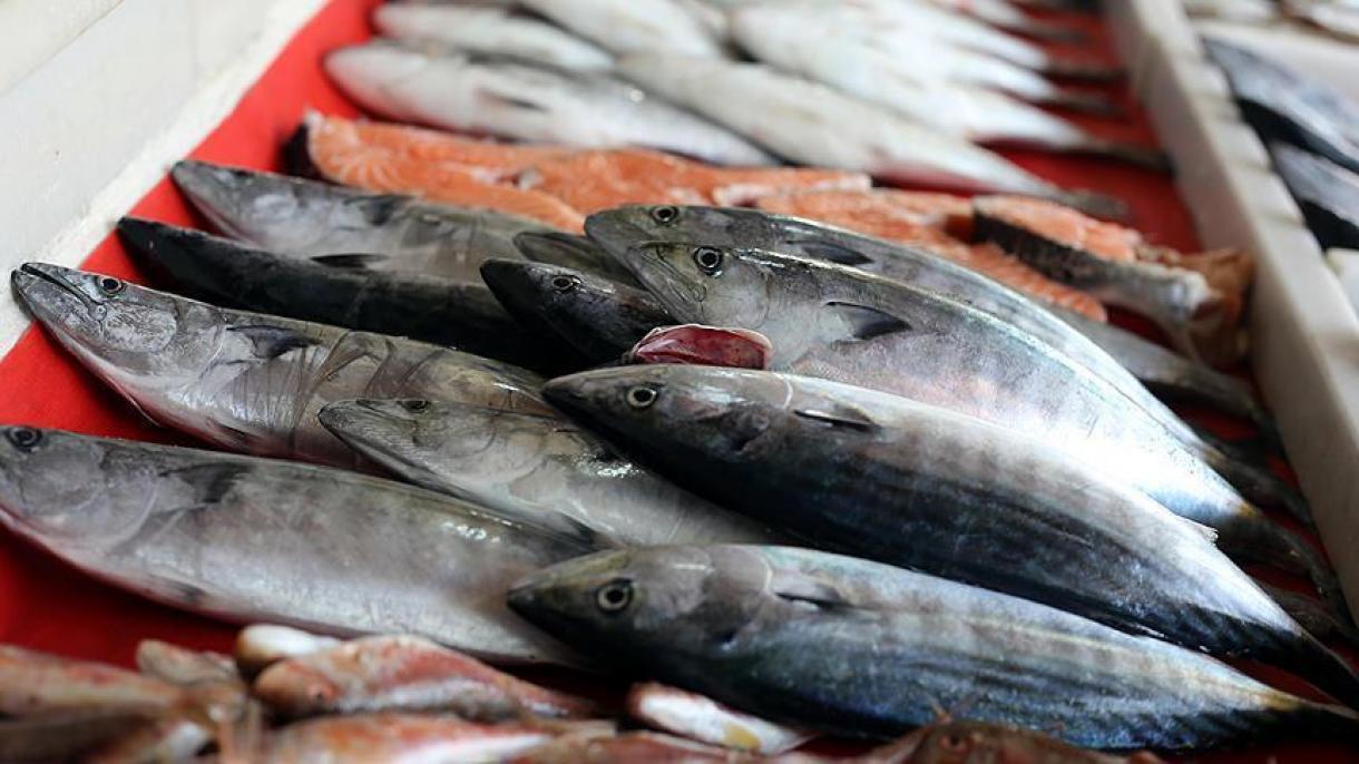 Les exportations turques de produits de la mer rapportent un milliard de dollars en 2019