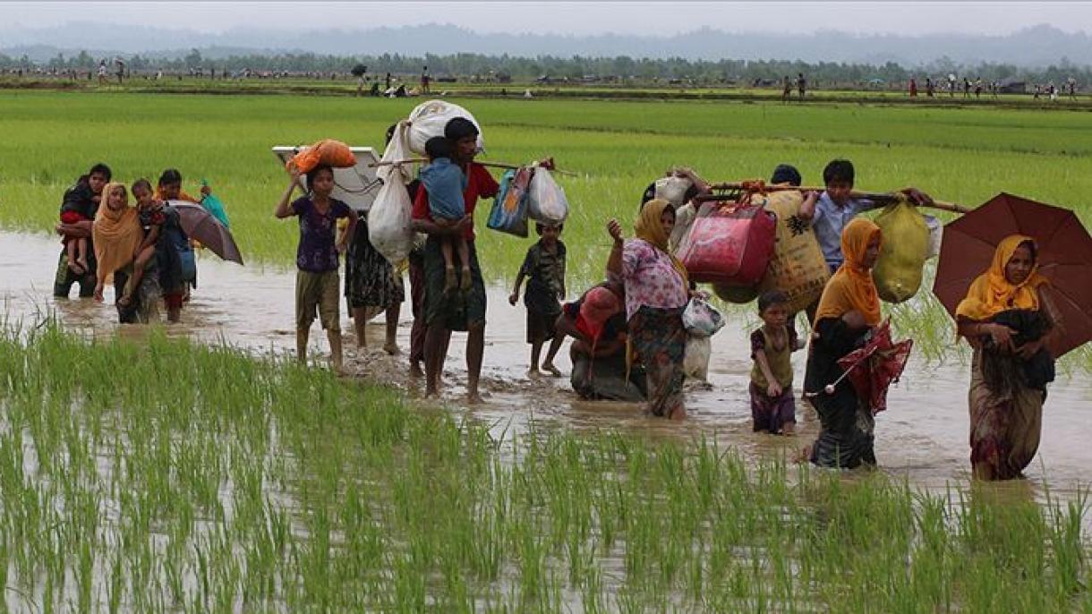 Jepun Sediakan Bantuan Senilai 17 Juta Dolar Kepada Rohingnya