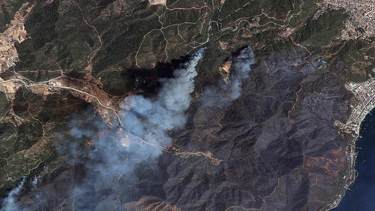 آتش سوزی جنگل ها از سوی ماهواره های گوکترک ثبت شد