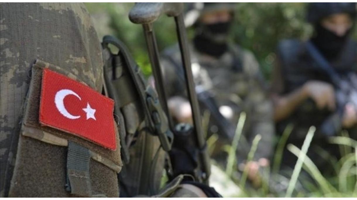 Zeytun Budağı Hərəkatının 10 fevral məlumatı