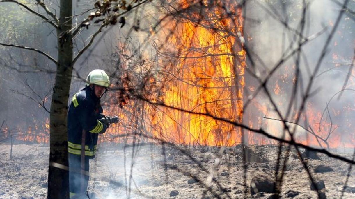 ترکیه، موفق‌ترین کشور در مهار آتش‌سوزی