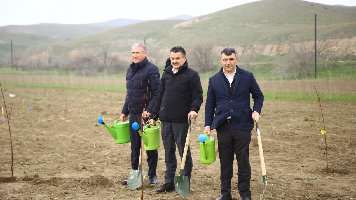 Pakdemirli-Azerbaycan-2.jpg
