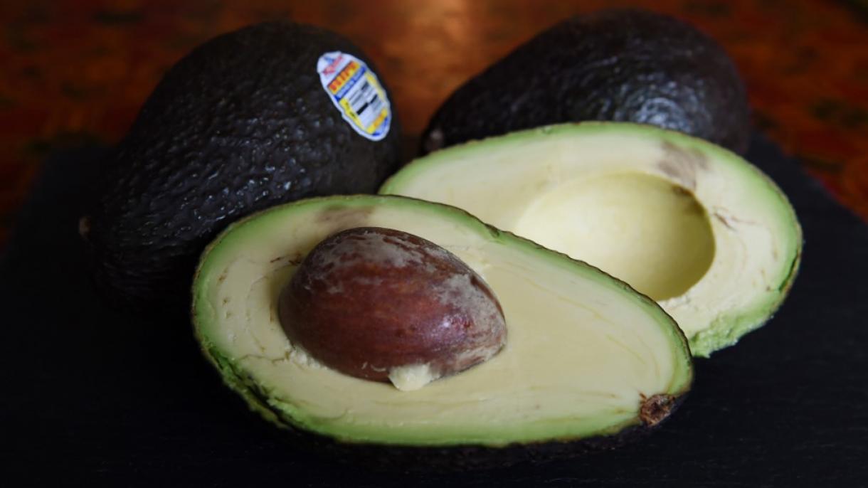 China da luz verde a la exportación de aguacate Hass desde Colombia