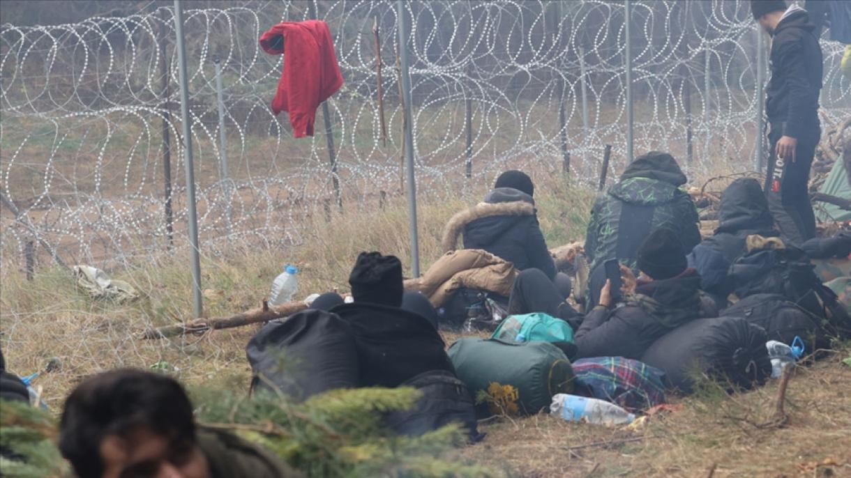 Polonia inizia la costruzione del muro al confine con la Bielorussia