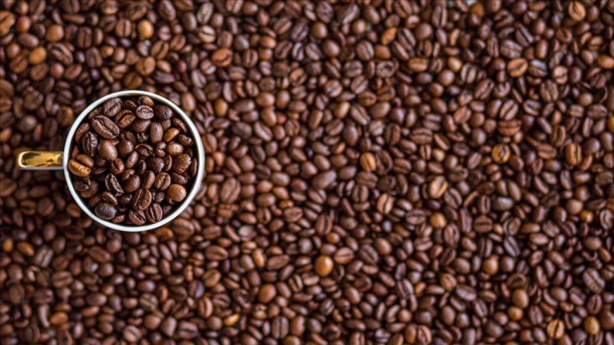 کشف نوعی قهوه که تحت تاثیر تغییرات اقلیمی قرار نمی‌گیرد