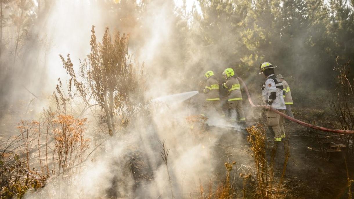 Chile continua a ser fustigado por incêndios florestais