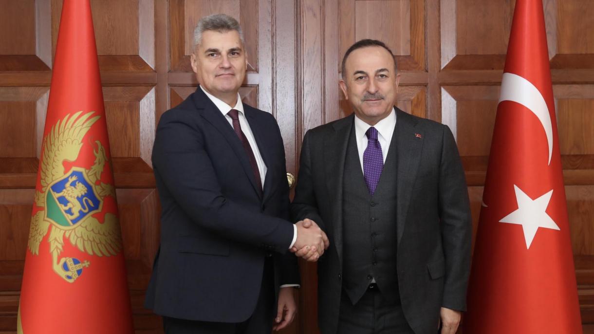 دیدار وزیر خارجه ترکیه با رئیس پارلمان مونته نگرو