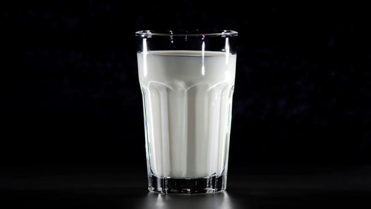 Çinə süd məhsulları ixracı artmaqda davam edir