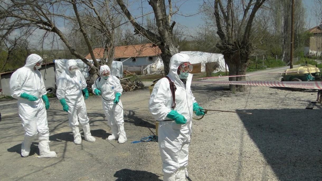 韩国爆发H5N6禽流感疫情