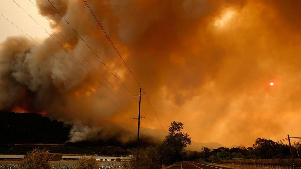 کیلیفورنیا میں جنگلات کی آگ سے 36 افراد ہلاک